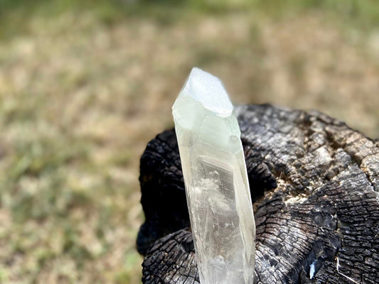 Shamanic Phantom Dream Lemurian Quartz
