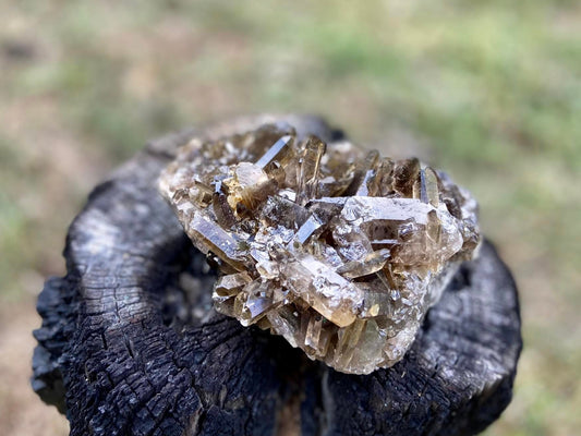 Natural Citrine Lemurian Seed Cluster