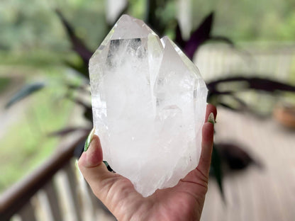 Tantric Twin Lemurian Seed Quartz Ascending Cathedral Channeler Standing