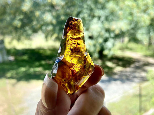 Polished Amber (full of bugs) UV Sensitive