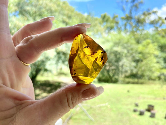 Polished Amber (full of bugs) UV Sensitive