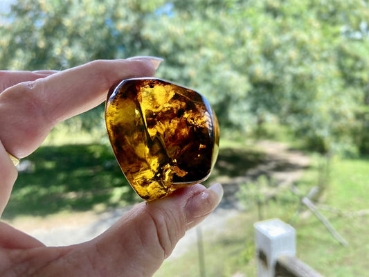 Polished Amber (full of bugs) UV Sensitive