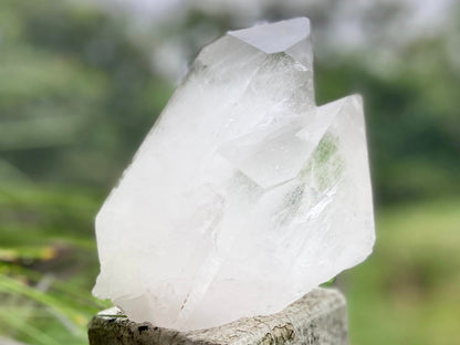 Tantric Twin Lemurian Seed Quartz Ascending Cathedral Channeler Standing