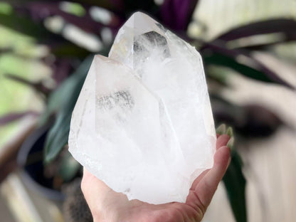 Tantric Twin Lemurian Seed Quartz Ascending Cathedral Channeler Standing