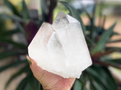 Tantric Twin Lemurian Seed Quartz Ascending Cathedral Channeler Standing