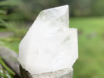 Tantric Twin Lemurian Seed Quartz Ascending Cathedral Channeler Standing