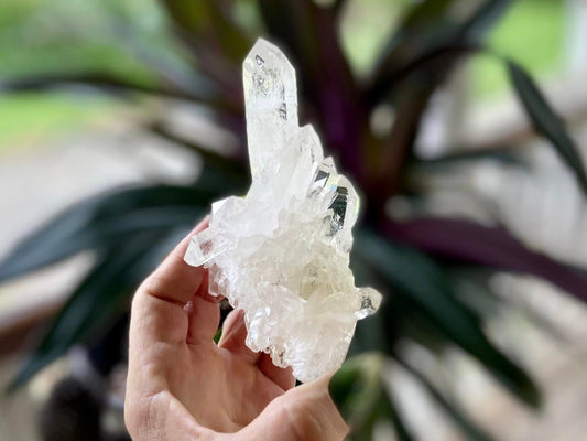 ET Lemurian Seed Quartz Channeler Scepter AAA Grade