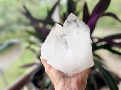 Tantric Twin Lemurian Seed Quartz Ascending Cathedral Channeler Standing