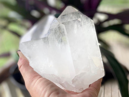 Tantric Twin Lemurian Seed Quartz Ascending Cathedral Channeler Standing