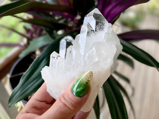 Lemurian Seed Quartz Ascending Cathedral Channeler AAA+ Grade