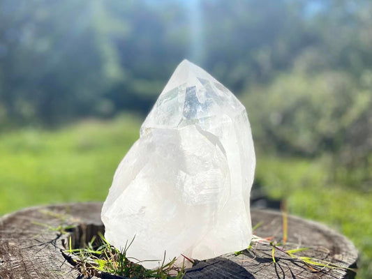 Gigantic Cathedral Lemurian Seed Quartz Record Keeper and Energetic Library A Grade